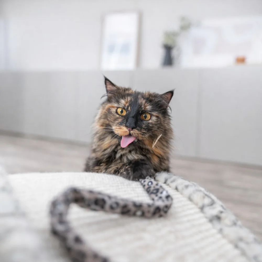 Іграшка Trixie для котів Вудочка з плюшевою котяча м’ята плюш/пластик 51 см — фото 4