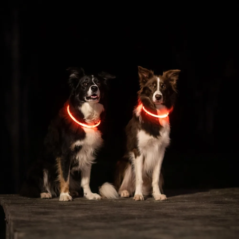 Нашийник Trixie Flash Light Ring USB для собак мигаючий силіконовий червоний розмір S–M 40 см/8 мм — фото 4