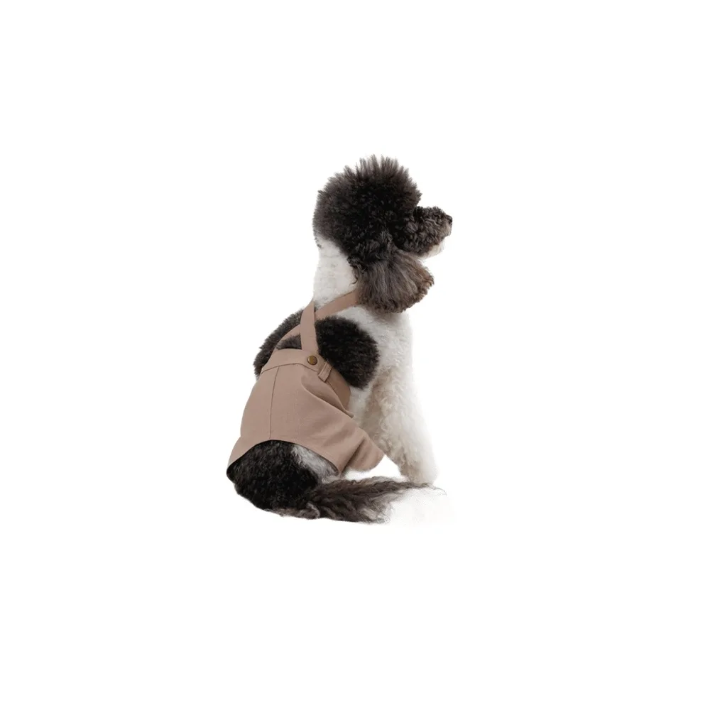 Шорти Pet Fashion Leo для собак S — фото 2