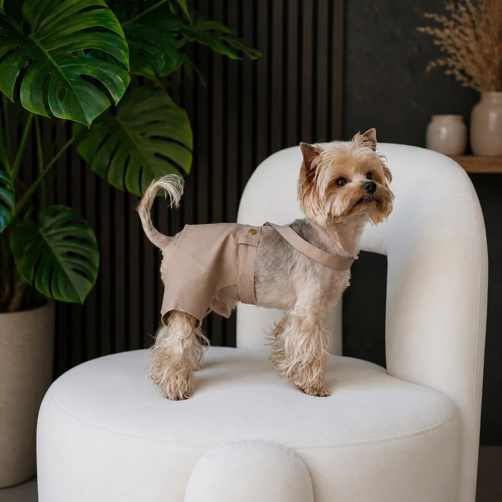 Шорти Pet Fashion Leo для собак XS — фото 3