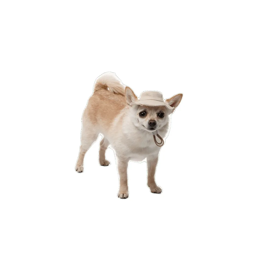 Панама Pet Fashion Gold для собак XL — фото 2