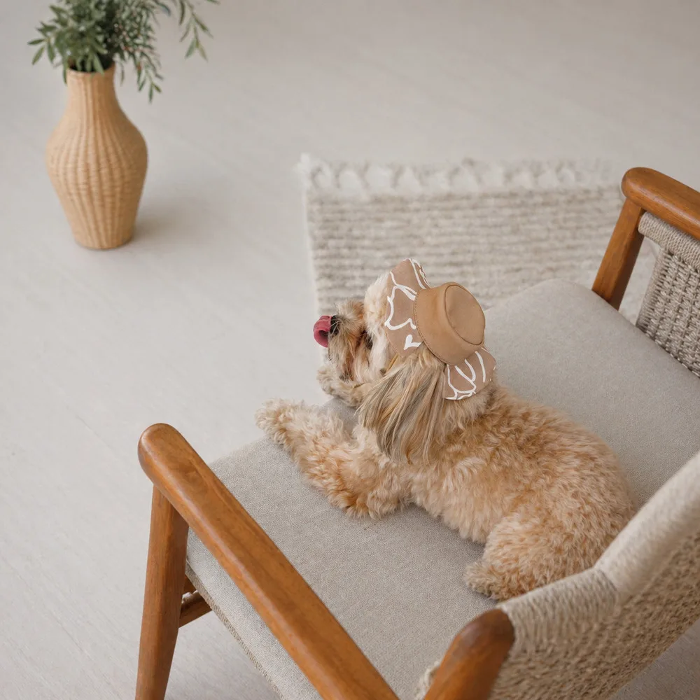 Панама Pet Fashion Print для собак XL — фото 3