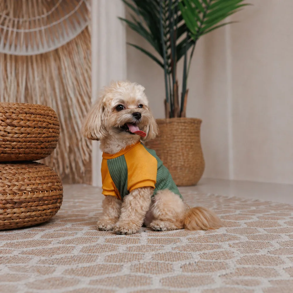 Футболка Pet Fashion Kent для собак S — фото 3
