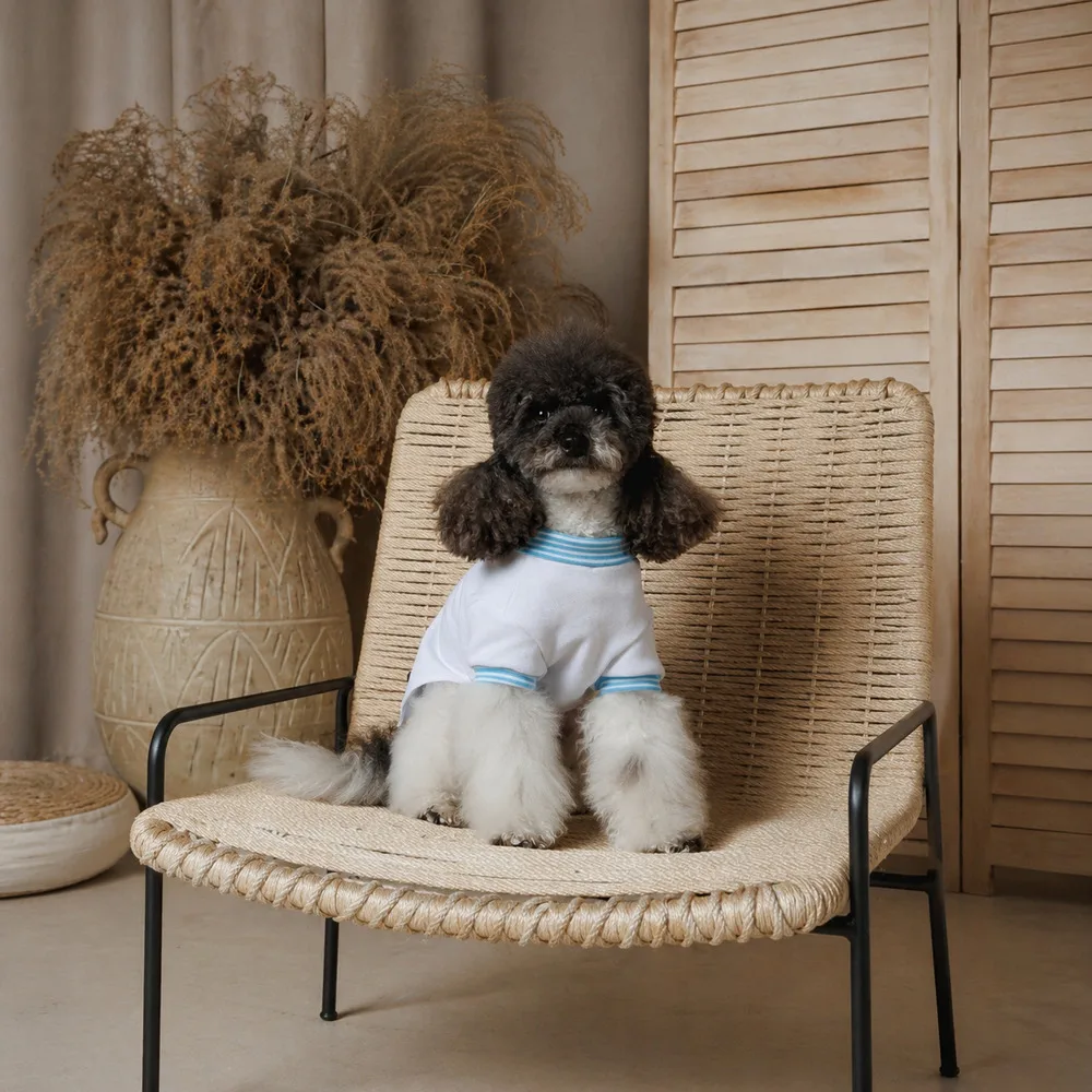 Футболка Pet Fashion Polo для собак XXS — фото 3