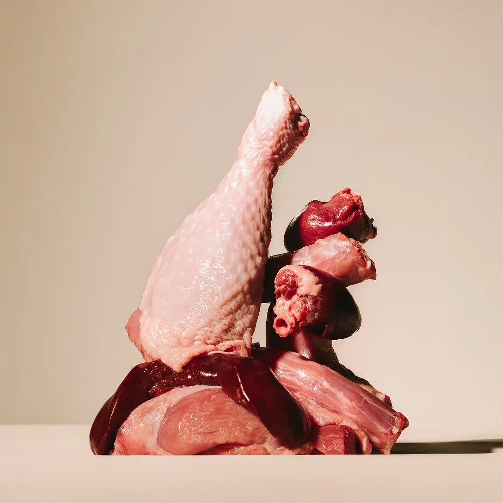 Корм сухий Carnilove True Fresh Turkey для cобак індичка 4 кг — фото 3