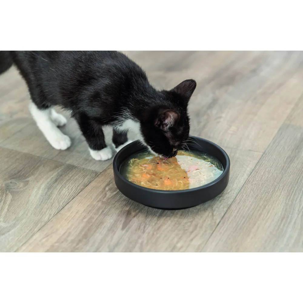 Корм вологий Trixie Salmon Soup with chicken and salmon для котів Лососевий суп з куркою та лососем, 80 г