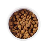 Nature’s Protection Junior All Breeds Сухий корм для цуценят усіх порід з м’ясом птиці, 7,5 кг — фото 2