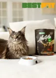 Nature’s Protection Lifestyle Sterilised Salmon Сухий беззерновий корм для стерилізованих котів з лососем, 400 г — фото 4