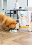 Nature’s Protection Superior Care Red Coat Grain Free Salmon Adult Small Breeds Сухий беззерновий корм для дорослих собак малих порід з рудим забарвленням з лососем, 1,5 кг — фото 3