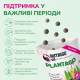 LK Baits Pet Nutrigo Plantago S-M Функціональні ласощі для собак середніх порід з сиропом подорожника (Ø 20 мм), 170 г — фото 4