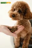 Nature’s Protection Superior Care Red Coat Hypoallergenic & Intestinal Care Беззернові ласощі для дорослих собак з рудим забарвленням з лососем, 150 г — фото 2