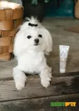 Tauro Pro Line Pure Nature Stainless look 3in1 Маска для котів та собак з білою шерстю, 50 мл — фото 3