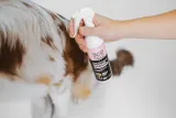 Tauro Pro Line Ultra Natural Care Volume Boost Leave-In Conditionier Незмивний кондиціонер для надання об’єму шерсті собак і котів, 250 мл — фото 2
