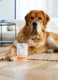 Nature’s Protection Superior Care Red Coat Adult Tuna Додатковий вологий корм для собак з рудим забарвленням з тунцем, 70 г — фото 3