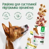 Nature’s Protection Prime Puppy Chicken and Turkey Вологий корм для цуценят з куркою та індичкою, 85 г — фото 2