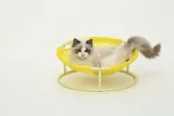 MISOKO Pet bed round Складаний лежак для домашніх тварин жовтий, 45x45x22 см — фото 4