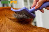 Tauro Pro Line Royal Щітка пластикова тонкі та м’які зубчики з нержавіючої сталі 25 мм, фіолетова, велика 17,5 x 10,6 x 6,2 см — фото 4