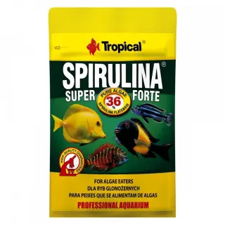 Корм Tropical Super Spirulina Forte для акваріумних травоїдних риб пластівці 12 г